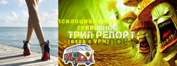герыч Бородино