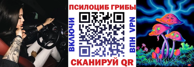 где найти наркотики  Староминская  Галлюциногенные грибы Cubensis 
